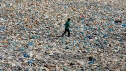 روز زمین و چالش‌های زیست محیطی در ایران