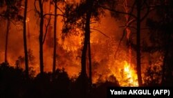 Թուրքիա - Անտառային հրդեհը Մուղլայում, 1-ը օգոստոսի, 2021թ.