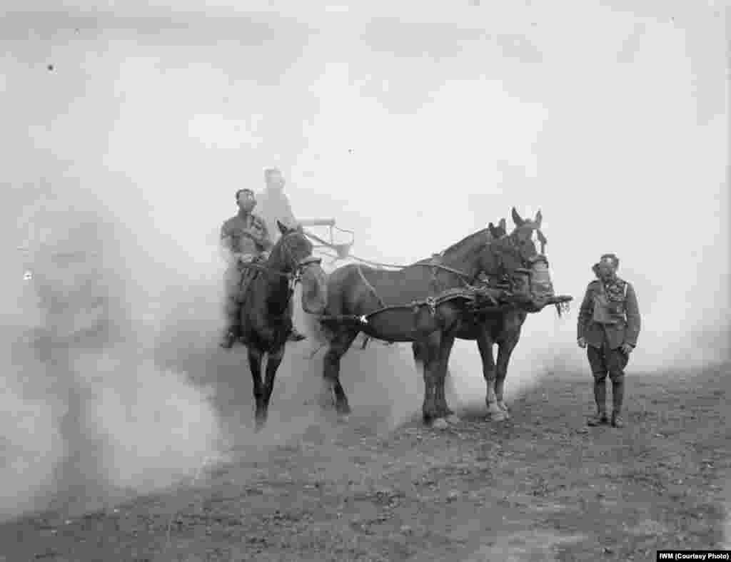 Чоловіки та коні з Британського військового корпусу у Великій Британії &nbsp;