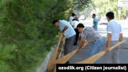 Фарғонада умумхалқ ҳашари пайтида кўча супураётган божгирлар.