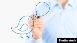 Adamyň Twitter sosial ulgamynyň logotipini çekip duran pursady.