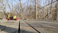 Грузинские дроны на пути к господству