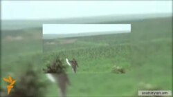 Азербайджанские видео инсценированы – Давид Бабаян