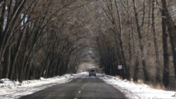 Լոռիում ընտրապայքարի մեջ են մտնում մի շարք հայտնի գործիչներ