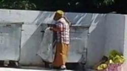 Maryda, Lebapda orak başlandy, çörek 'ýakasyny tanadýar', harasatda kesilen togy ýaşaýjylaryň özi bejerdýär