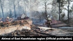 Лесной пожар в окрестностях Риддера, 10 мая 2021 года. 