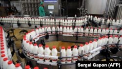 Вытворчасьць малочных прадуктаў. Ілюстрацыйнае фота