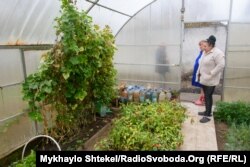 Каждая семья получила по участку земли