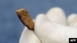  دندان کشف شده