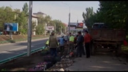 400 тысяч цветов будут посажены в Бишкеке