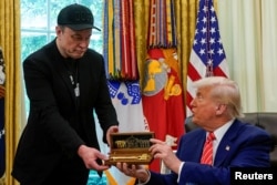 Президент США Дональд Трамп вручає Ілону Маску символічний «золотий» ключ» від Білого дому. Вашингтон, 30 травня 2025 року