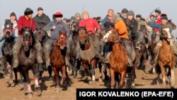 Кыргызстандагы аламан улак. 2020-жыл.