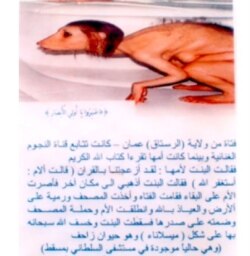 Пэтрисия Пиччинининин “Булгаары пейзажы” эмгегин бурмалаган арапча үгүт маалыматы. 2005.