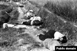 جسد غیرنظامیان کشته‌شده در حملات ماه اوت ۱۹۵۰ در نزدیکی یونگسان، امروزه کره جنوبی