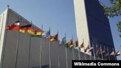 سازمان ملل متحد - نیویورک