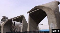 دانشگاه تهران