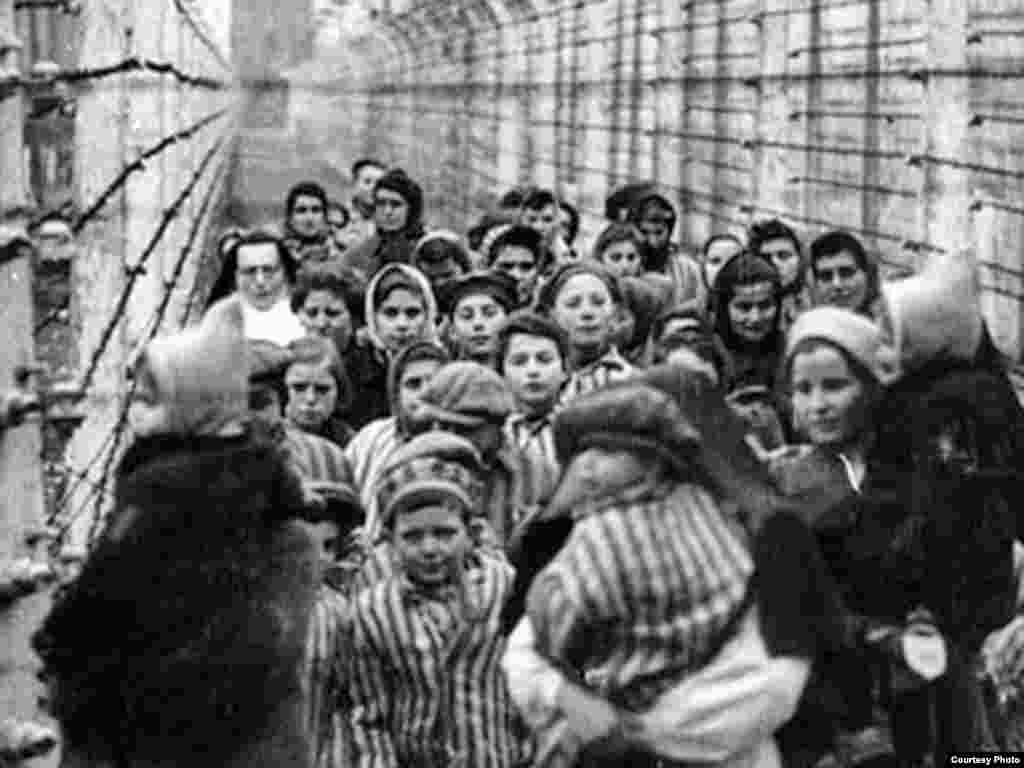 دانیل برترام: «همان موقع که همه را در میدانی جمع کردند که امروز به آن می گویند میدان قهرمانان گتو. بعد بچه ها را از بزگتر ها جدا کردند و آنها را به دیوار می کوبیدند و می کشتند.»