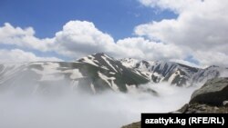 Иллюстративное фото.