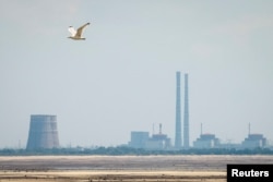 Вид на ЗАЕС з Нікополя, червень 2023 року