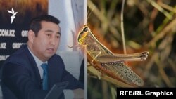 Ведомство Айдарбека Сапарова написало заявление на агроблогера Кирилла Павлова