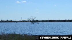 Уровень воды в озере Красное год за годом повышается