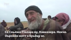 ДАIИШ-ан тIаьххьара гIала юьтуш бу нах