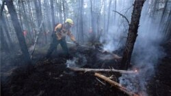 Թրամփը օգնություն է առաջարկել Պուտինին անտառային հրդեհների դեմ պայքարի գործում