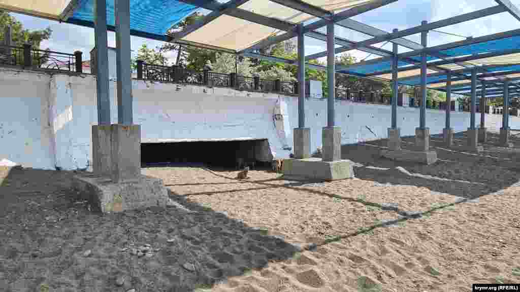 Baqılmağan köpekler şeer plâjında qala, Sudaq, Qırım, 2025 senesi iyün ayınıñ başı