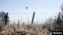 Ілюстрацыйнае фота (мяжа Беларусі і Ўкраіны)