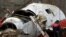 The wreckage of the Polish presidential plane that crashed in Smolensk, in western Russia, on April 10, 2010. All 96 people onboard died, including Polish President Lech Kaczynski, the chief of the Polish General Staff, and dozens of military officials, lawmakers, clergy, and others.