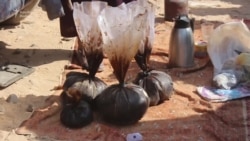 Taliban gələndən Əfqanıstanda tiryək istehsalı artıb