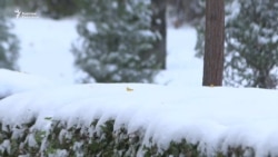 Кар жаады, жол тайгак, "чексиз тариф"