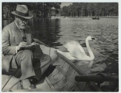 Анры Маціс зь лебядзем