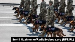 Під час військового параду до 30-річчя Незалежності України. Київ, 24 серпня 2021 року (фото ілюстративне)
