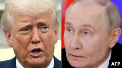 Дональд Трамп і Ўладзімір Пуцін