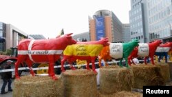 Фермерлердин Брюсселдеги нааразылык акциясы. 7-сентябрь, 2015-жыл. 