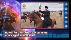 Нохчийн муфтийс къахьегаран мах хадийна Маккахь