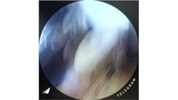 Задержание Аруны Арны.mp4