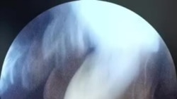 Задержание Аруны Арны.mp4