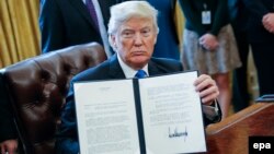 Доналд Трамп    