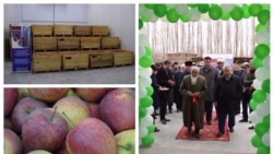 Логистикалык борборлордун биринин ачылышы.