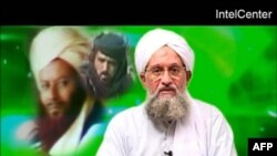 ايمن الظواهری، مرد شماره دو شبکه القاعده. (عکس:AFP)