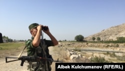 Иллюстрациялык сүрөт. 