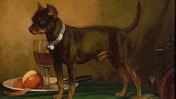 Собачья смерть