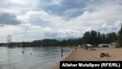 Иллюстрациялык сүрөт.