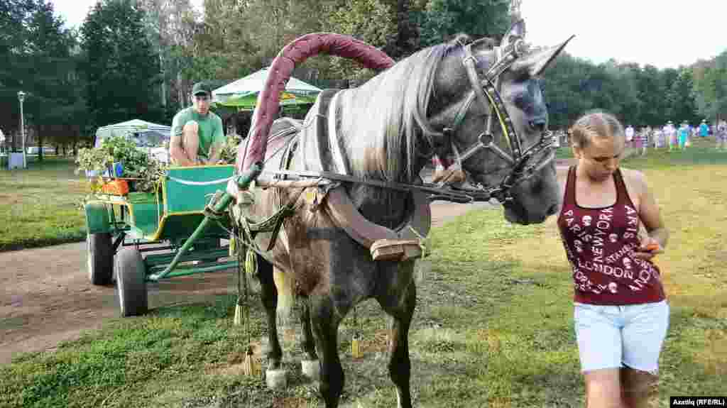 &ldquo;Себеркегә бару&rdquo;га әзерлек (Ат белән)