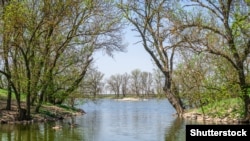 Озеро в заповіднику «Асканія-Нова»