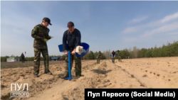 Лукашэнка саджае сосны ў нацыянальным парку «Прыпяцкі», красавік 2020 году. Ілюстрацыйнае фота