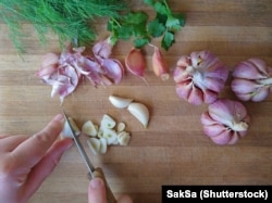 آنتی‌اکسیدان‌های موجود در سیر قادرند روی التهابات مفصلی و میکروبی تأثیرگذار باشند و باعث التیام التهابات شوند.