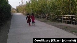 Ученицы младших классов одной из школ в Балыкчинском районе Андижанской области несут в школу пакет с собранным хлопком.